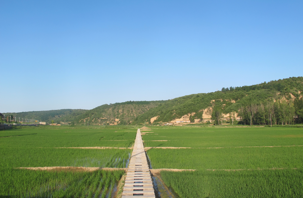 191621394138372018.png 191621394138372018.png