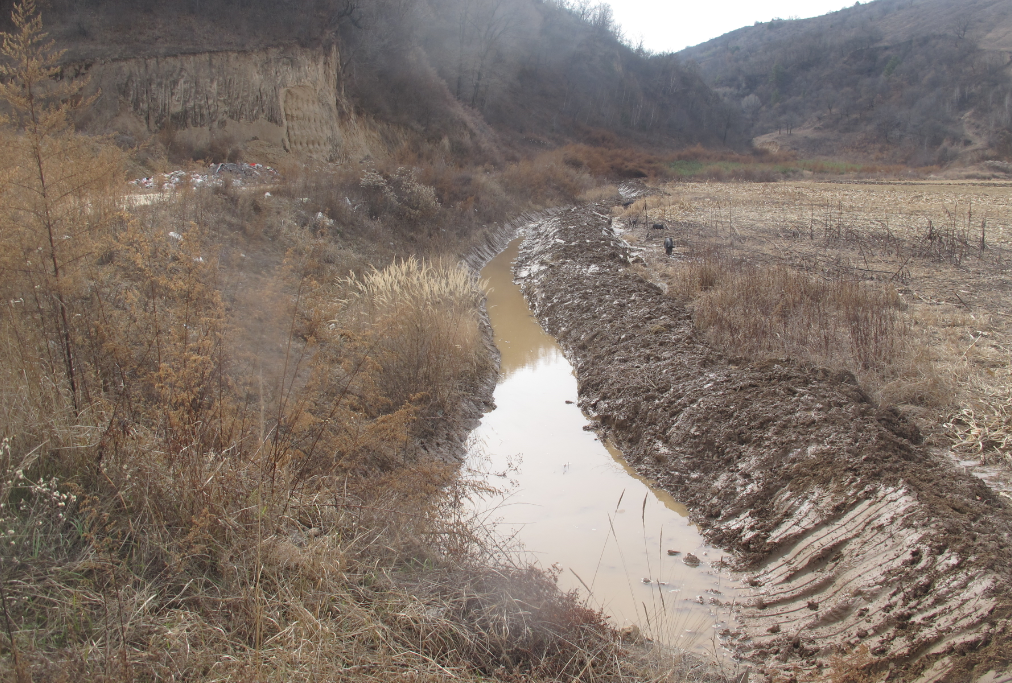 191621394139827383.png 191621394139827383.png