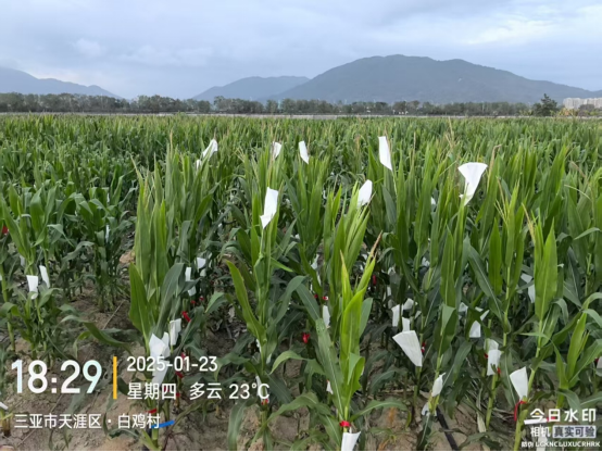 141739506307179985.png image.png