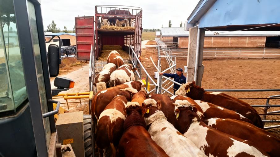 221761122421563878.png 221761122421563878.png