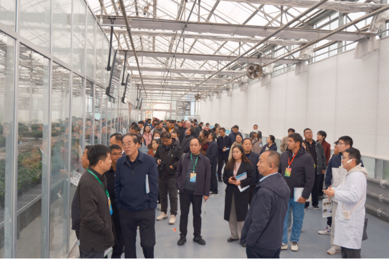 231761207514139969.png image.png