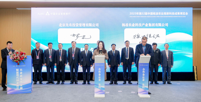 261761457342168708.png image.png