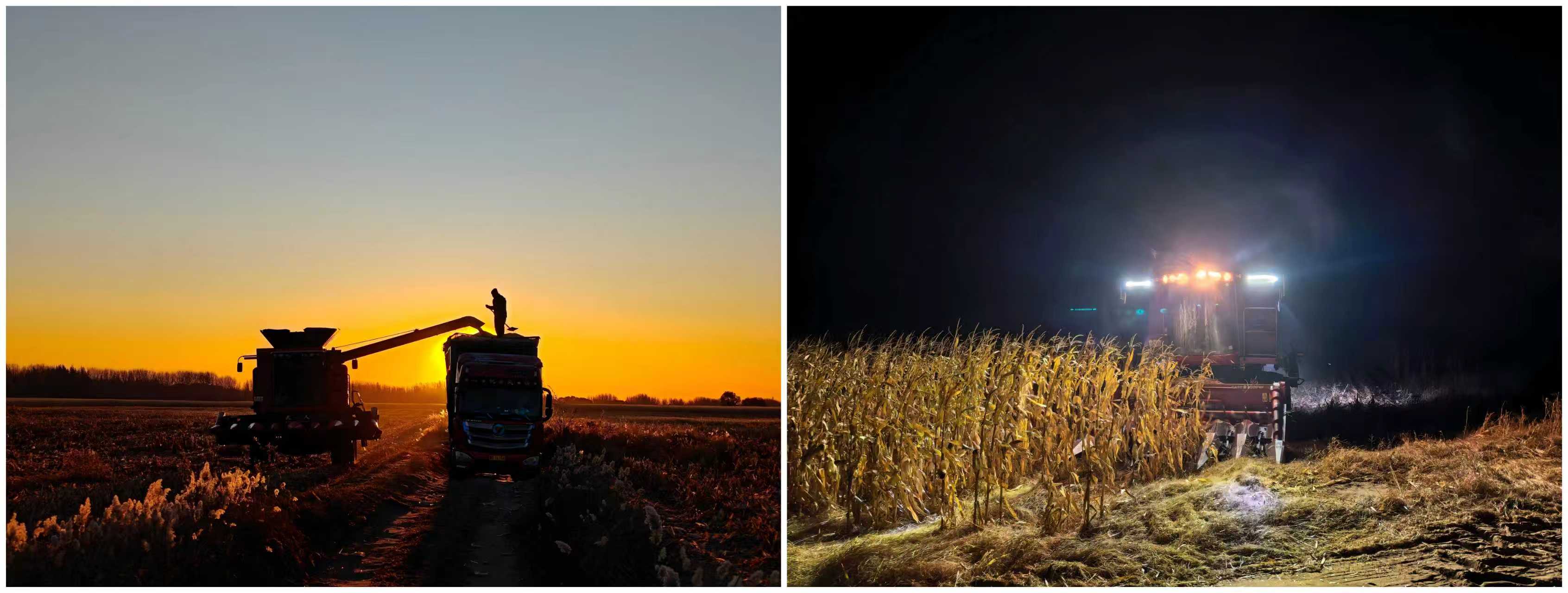 301761811159357875.jpg ed5dce3ee0e5c36d1a54d4bb8ee4b7db.jpg